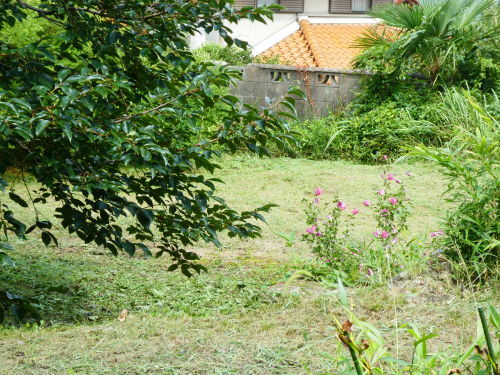 c0108198_15541220.jpg