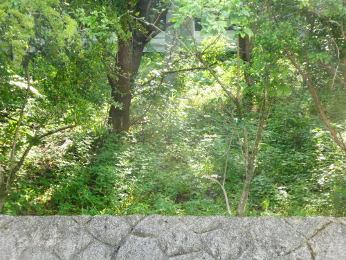 c0108198_15550421.jpg