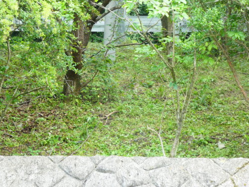 c0108198_15551730.jpg
