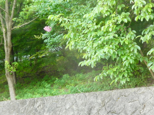 c0108198_15552922.jpg