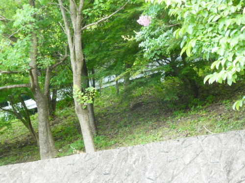 c0108198_15553963.jpg