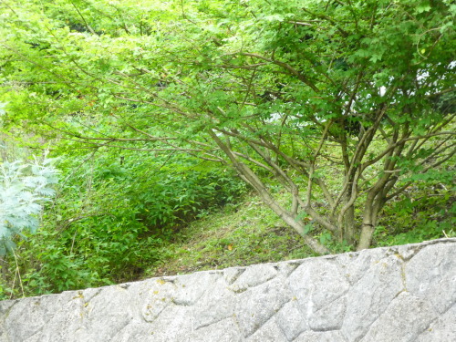 c0108198_16001653.jpg