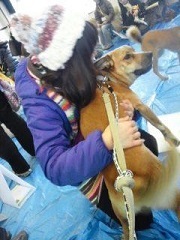 看取り犬・文福の奇跡_f0242002_15171870.jpg