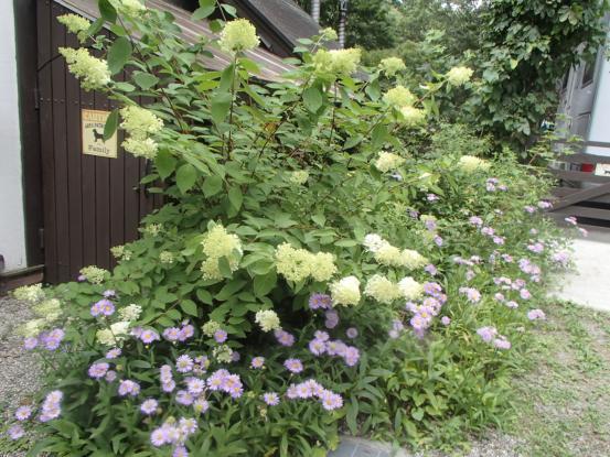 覚えていたかな?_f0064906_16251272.jpg