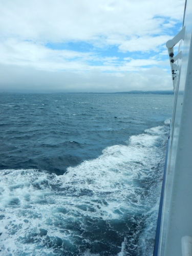 e0243008_11361932.jpg