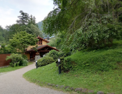 d0113613_11033489.jpg