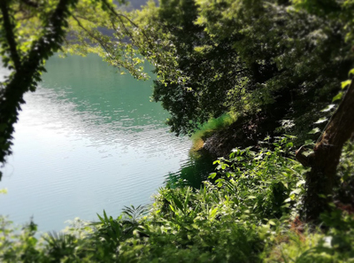 d0113613_11040427.jpg
