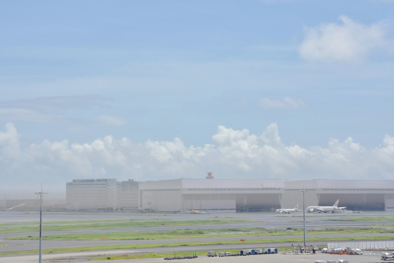 d0065116_12085694.jpg