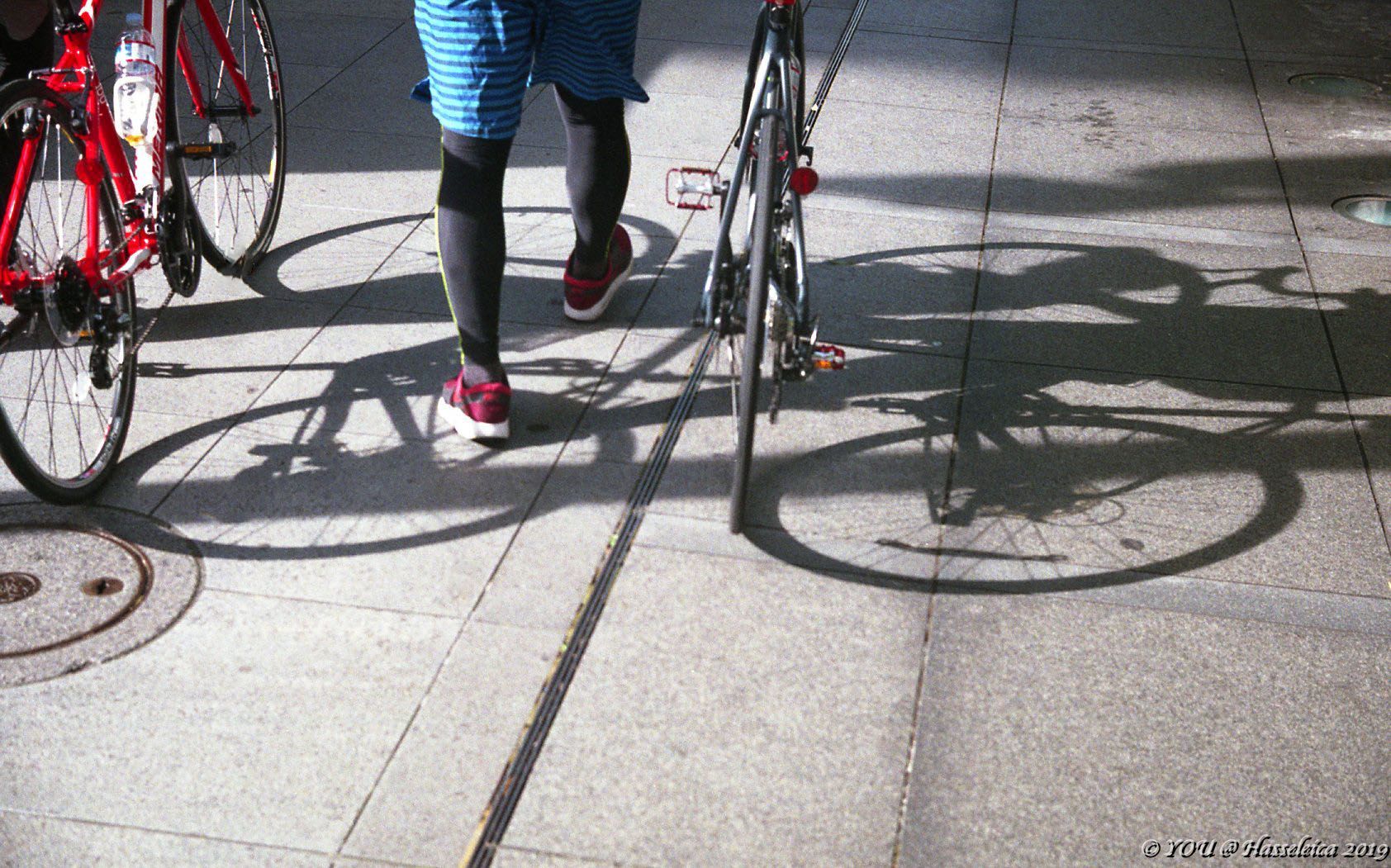 d0339617_12520727.jpg