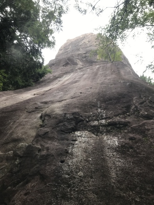 b0037220_20424927.jpg