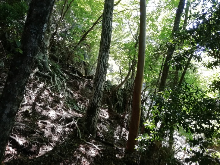 f0193521_14395687.jpg