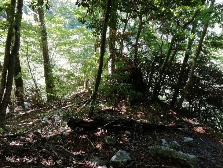 f0193521_14434983.jpg