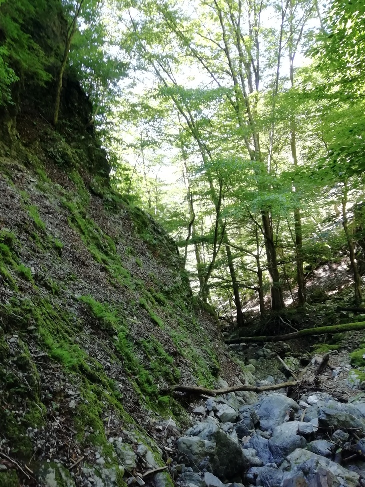 f0193521_21431257.jpg