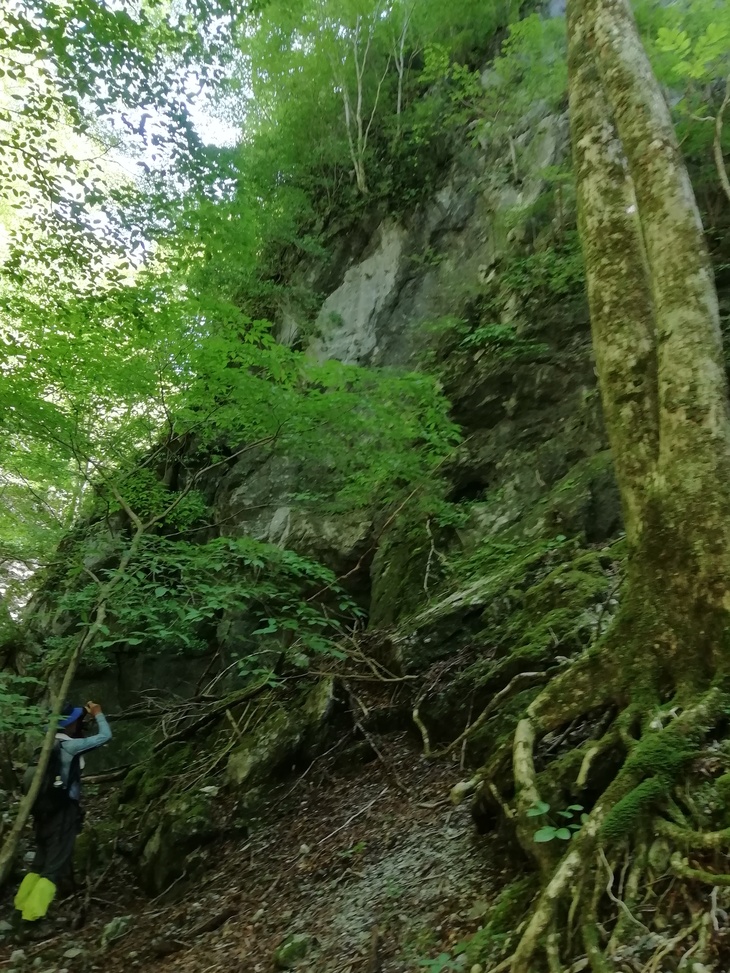 f0193521_2145226.jpg