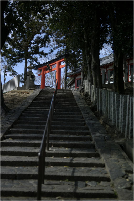 2105  超々精密描写（2019年4月5日奈良神社道ならパンタッカー50㎜F2.3にお任せあれ）時代遅れに？_b0226423_11334088.jpg