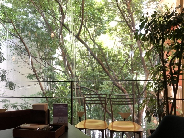 d0375829_06024895.jpeg