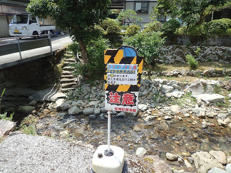 f0177529_22015057.jpg
