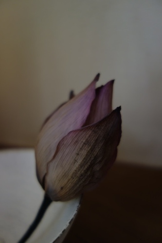 a0197730_13381245.jpg
