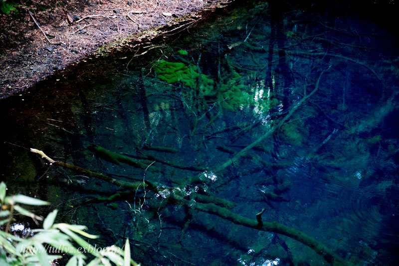 d0108132_00590328.jpg