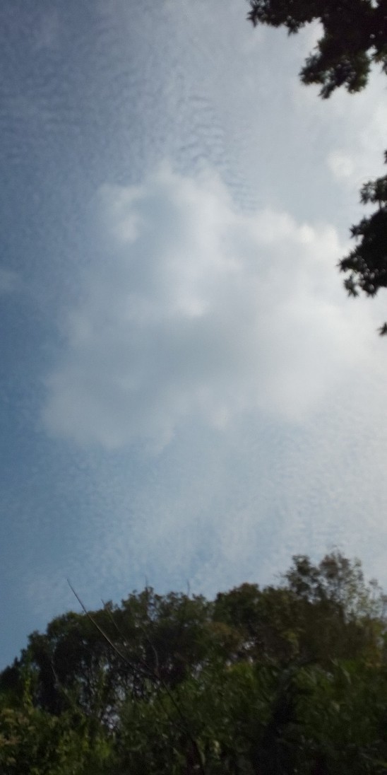 e0376933_22414596.jpg