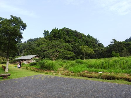 a0123836_16211470.jpg
