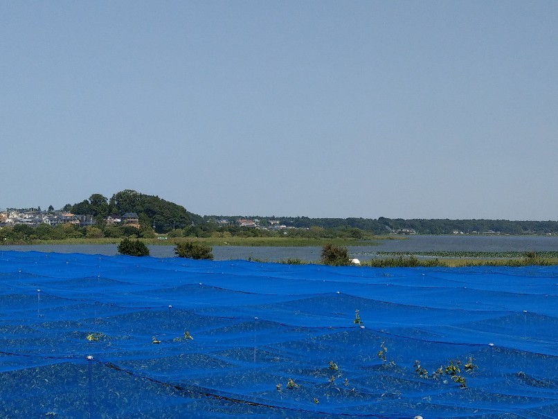 c0193136_20431026.jpg