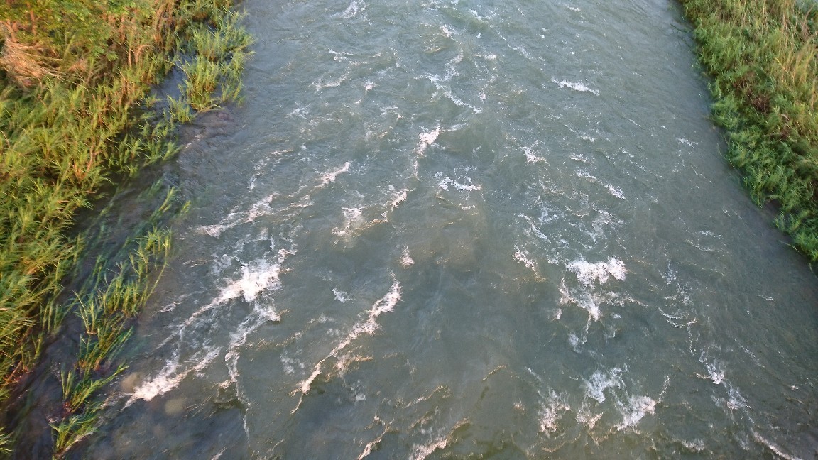 c0266737_06084863.jpg