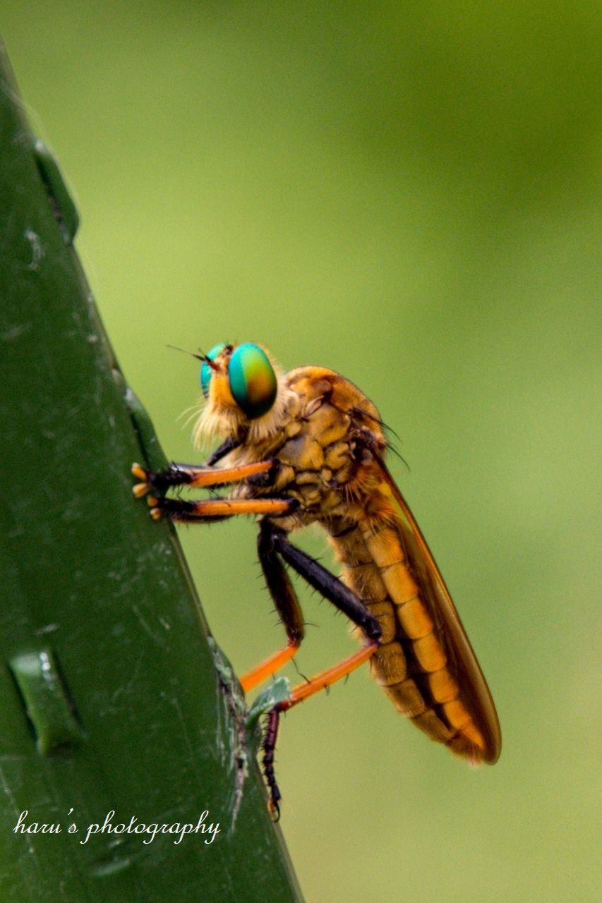 f0297537_22490436.jpg