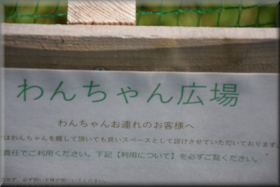 f0363141_16595990.jpg