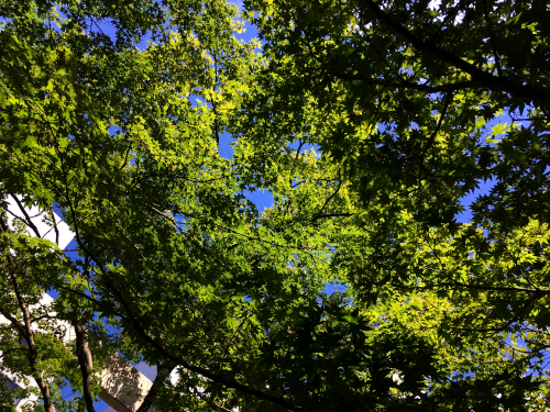 d0026745_17523176.jpg