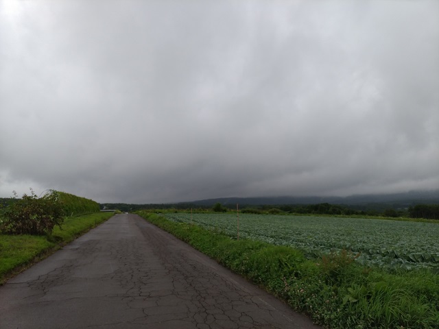 e0345845_20213450.jpg