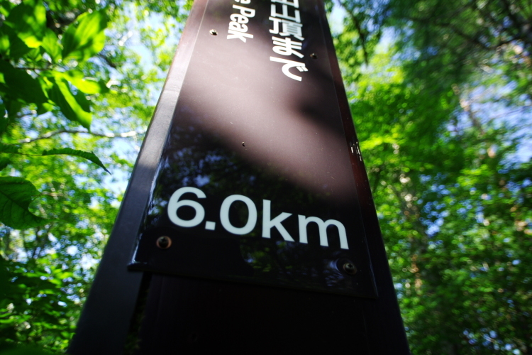 c0077847_23365106.jpg