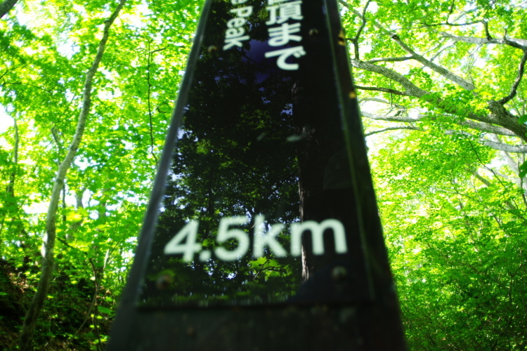 c0077847_23370092.jpg