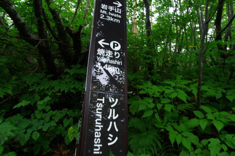 c0077847_23373287.jpg