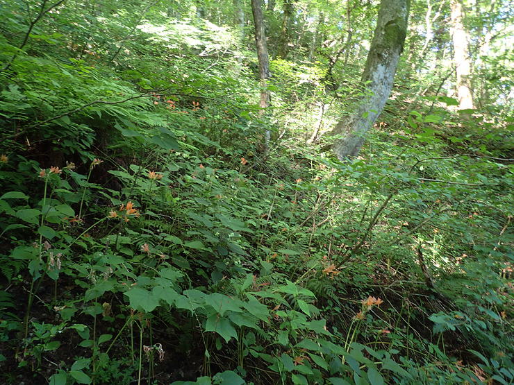 f0214649_04061925.jpg