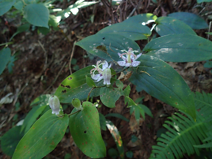 f0214649_04111147.jpg