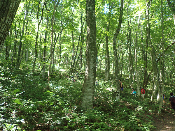 f0214649_04132689.jpg