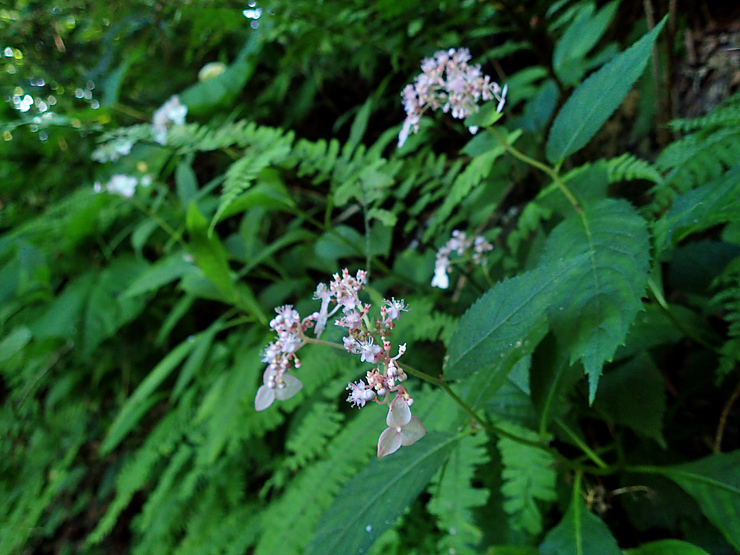 f0214649_04200309.jpg