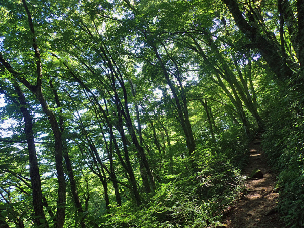 f0214649_04211567.jpg