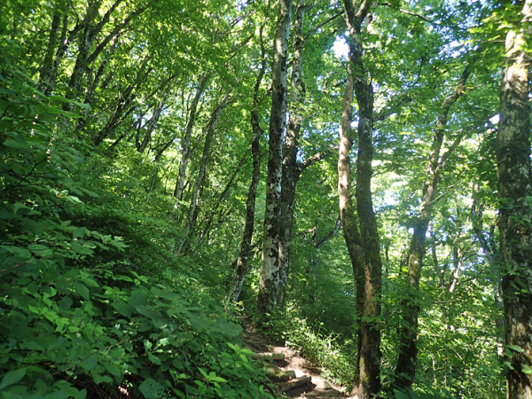 f0214649_04230427.jpg