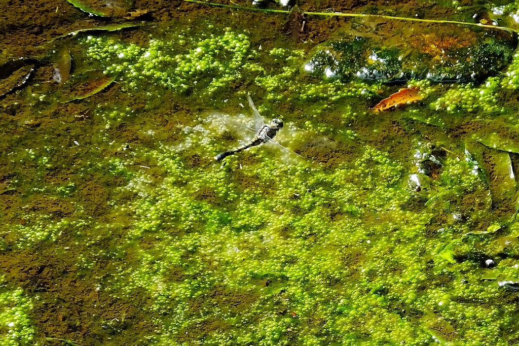 b0236251_14301330.jpg