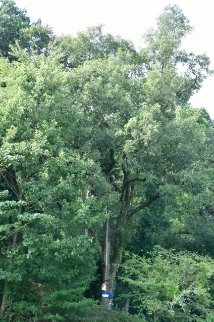 b0214652_16454195.jpg