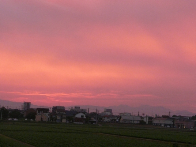 b0248954_11335433.jpg