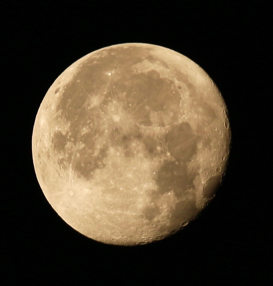a0248459_14205054.jpg