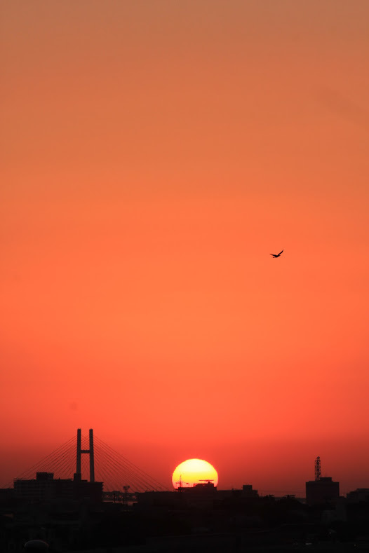 a0248459_14215444.jpg