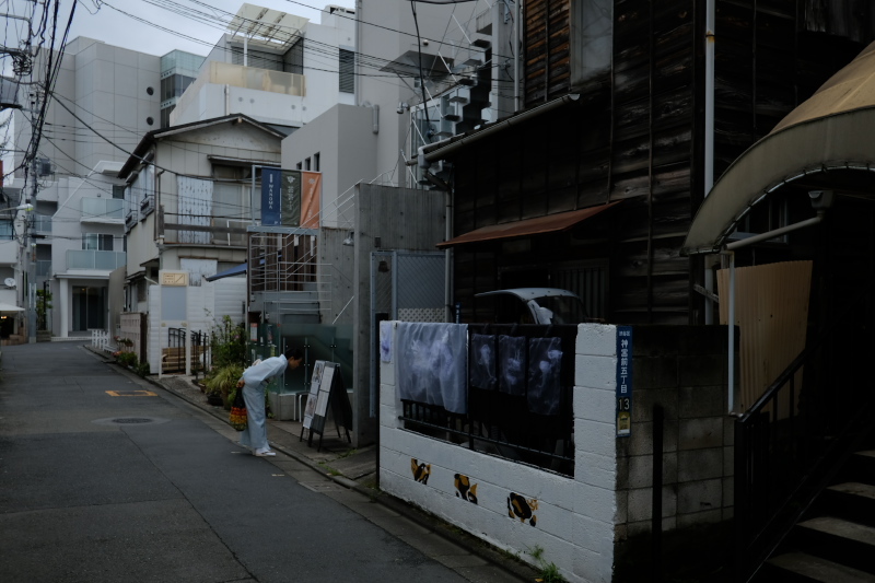 東京の坂道 #38-2 ネッコ坂_f0079061_18021823.jpg