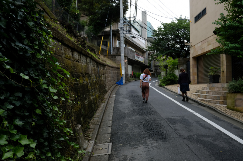 東京の坂道 #38-2 ネッコ坂_f0079061_18023295.jpg