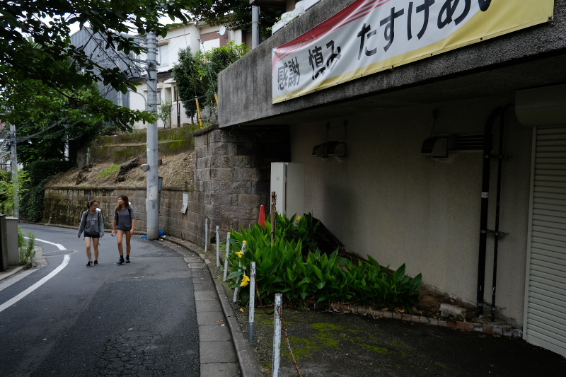 東京の坂道 #38-2 ネッコ坂_f0079061_18024153.jpg