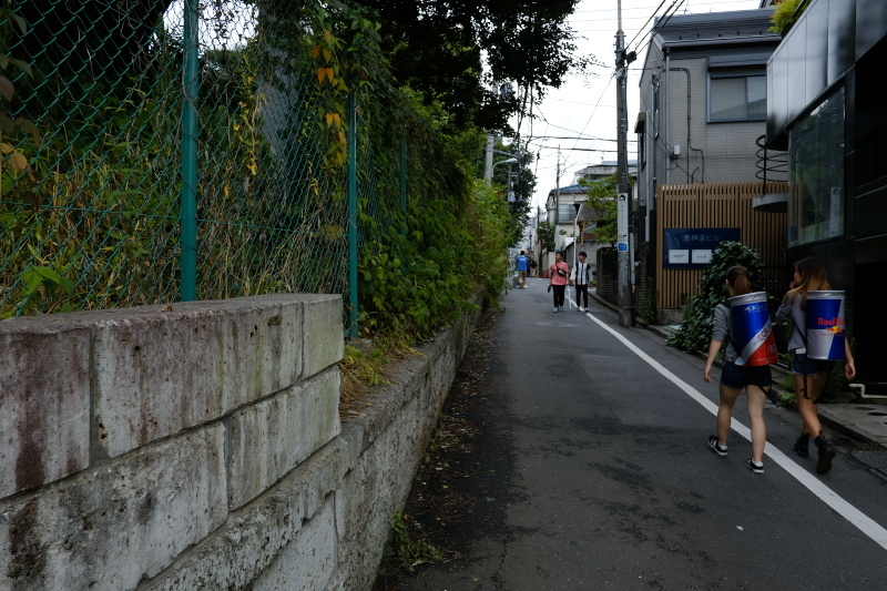 東京の坂道 #38-2 ネッコ坂_f0079061_18024652.jpg