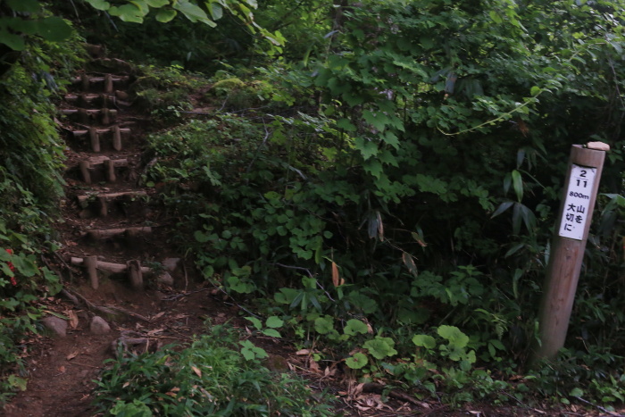 雨飾山 190818 灼熱の低山ハイク_e0338862_14353513.jpg
